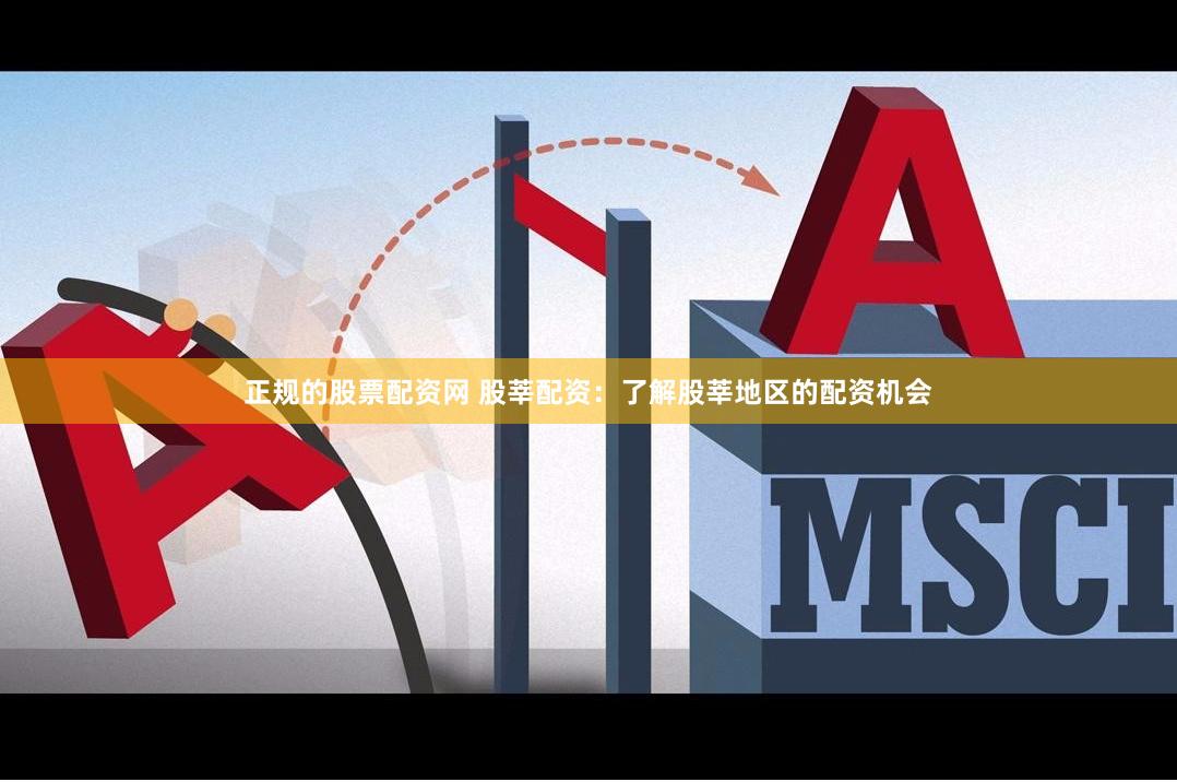 正规的股票配资网 股莘配资：了解股莘地区的配资机会