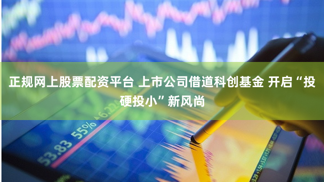 正规网上股票配资平台 上市公司借道科创基金 开启“投硬投小”新风尚