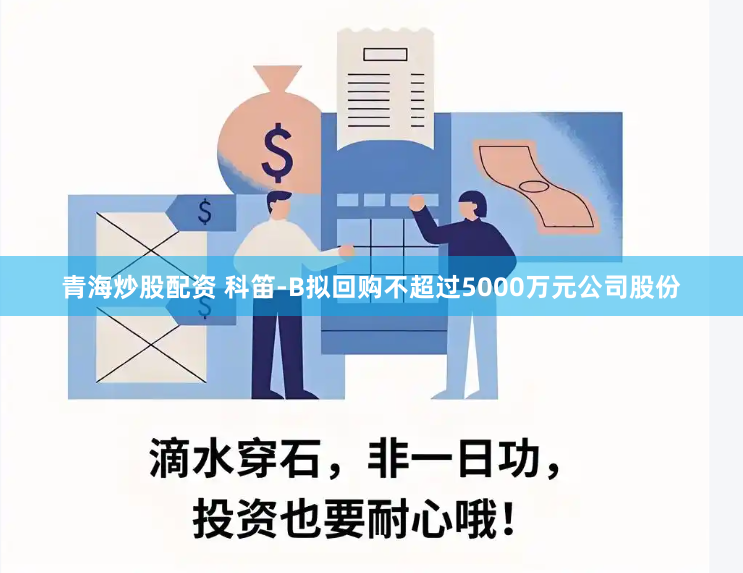 青海炒股配资 科笛-B拟回购不超过5000万元公司股份